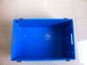 600*500*230 Mm Foldable Solid Small Plastic Crates rau Txiv Hmab Txiv Ntoo