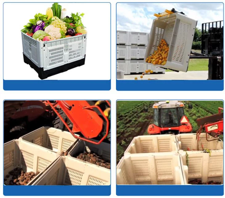 Folding Fruit Use Pallet Box